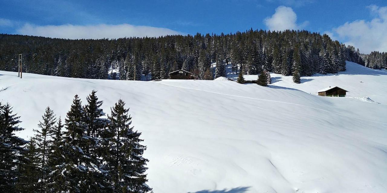 Thorens-Glières Gite Les Lanfiannes מראה חיצוני תמונה